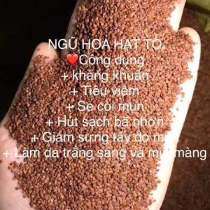 Bột đắp mặt nạ ngũ hoa hạt lớn