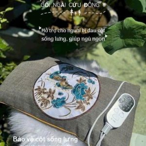 GỐI NGÃI CỨU CẮM ĐIỆN