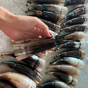 LƯỢC SỪNG THỎ