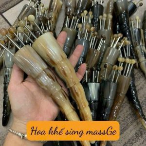 Dụng cụ diện chẩn cây hoa khế sừng