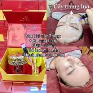 CẤY TRẮNG LỤA HOÀNG GIA