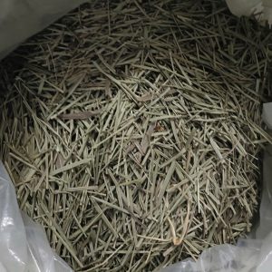 LÁ SẢ SẢ KHÔ