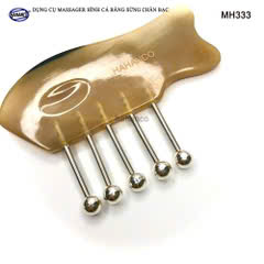 DỤNG CỤ DIỆN CHẨN CÁ BẠC