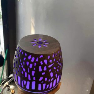 MÁY XÔNG TINH DẦU CÂY