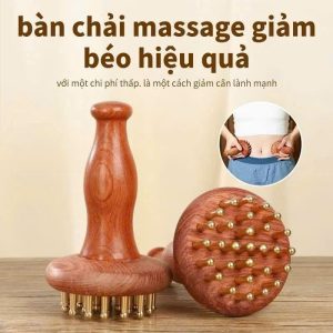 Bàn chải kinh tuyến